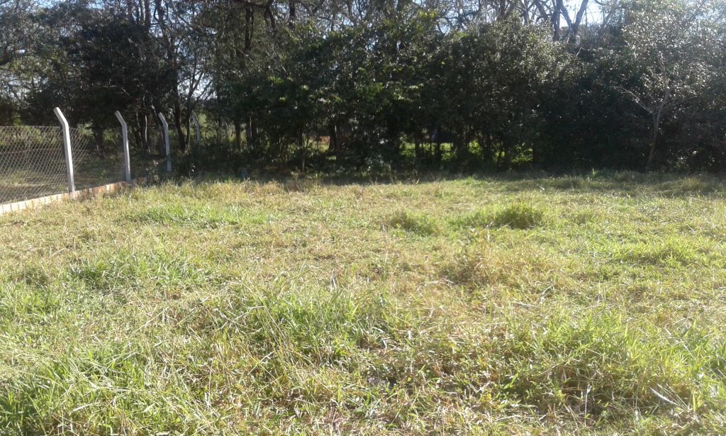 terrenos en Juan León Mallorquín — foto 3