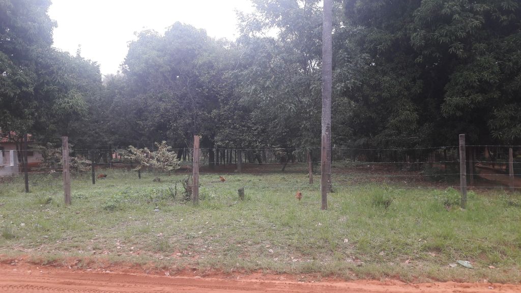 VENDO TERRENO ZONA LIMPIO LUQUE — foto 2