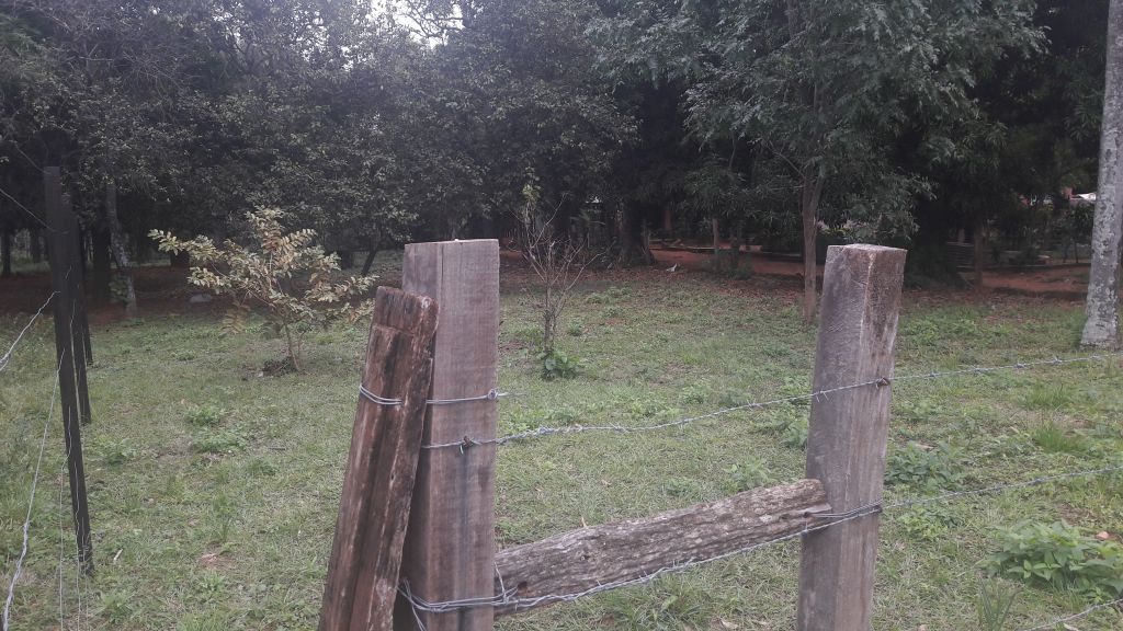 VENDO TERRENO ZONA LIMPIO LUQUE — foto 3