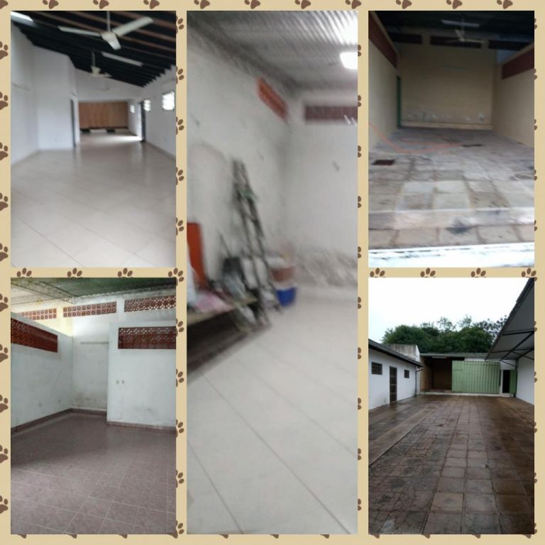 Doy en Alquiler Casa para Oficinas en San Antonio — foto 2