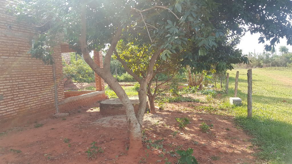Vendo urgentemente por viaje — foto 3