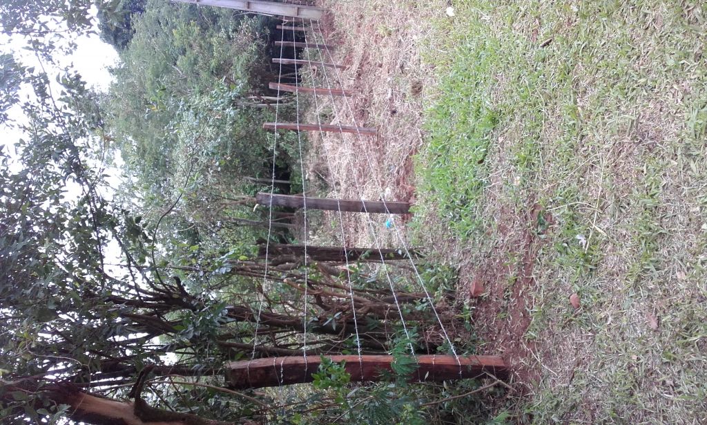 Vendo terreno en itaugua — foto 2