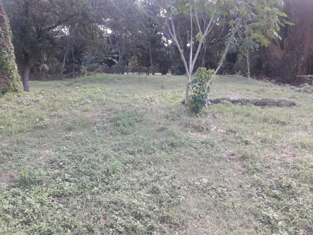 Vendo hermoso terreno — foto 2