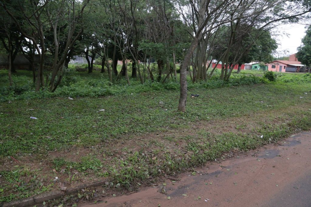 EXCELENTE UBICACION. Vendo 3 inmuebles de 10x50 cada terreno. — foto 2