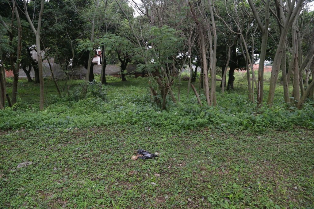 EXCELENTE UBICACION. Vendo 3 inmuebles de 10x50 cada terreno. — foto 3