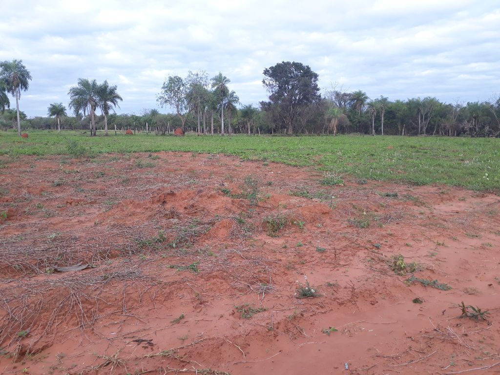 Lotes a cuotas — foto 2