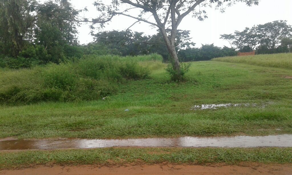 Vendo lotes — foto 2