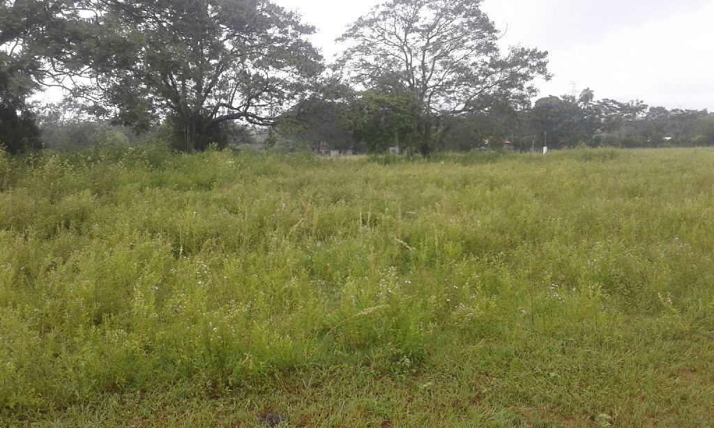 Vendo lotes — foto 3