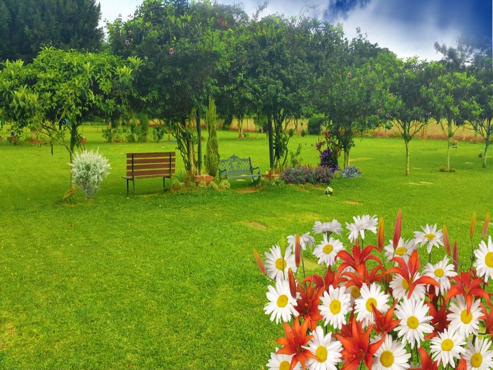 Terrenos en Campo Santo — foto 2