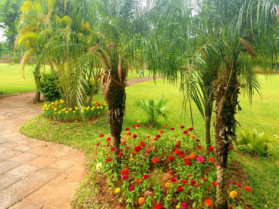 Terrenos en Campo Santo — foto 3