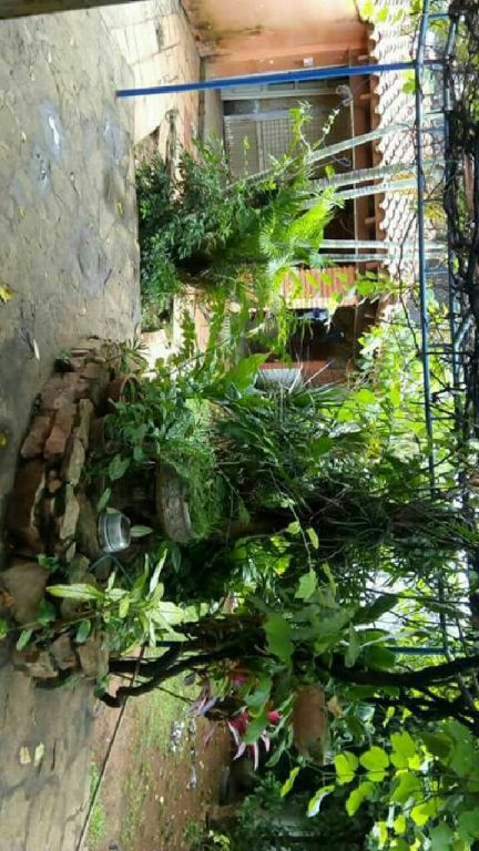 Oferta en fernando de la mora — foto 3