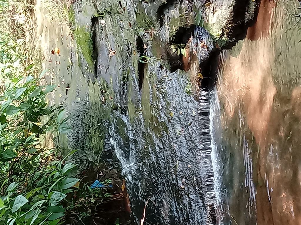 Terreno 2 mil metros cuadrados — foto 2