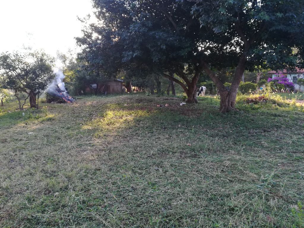 Terreno Zona Paso de Oro Ypane — foto 3