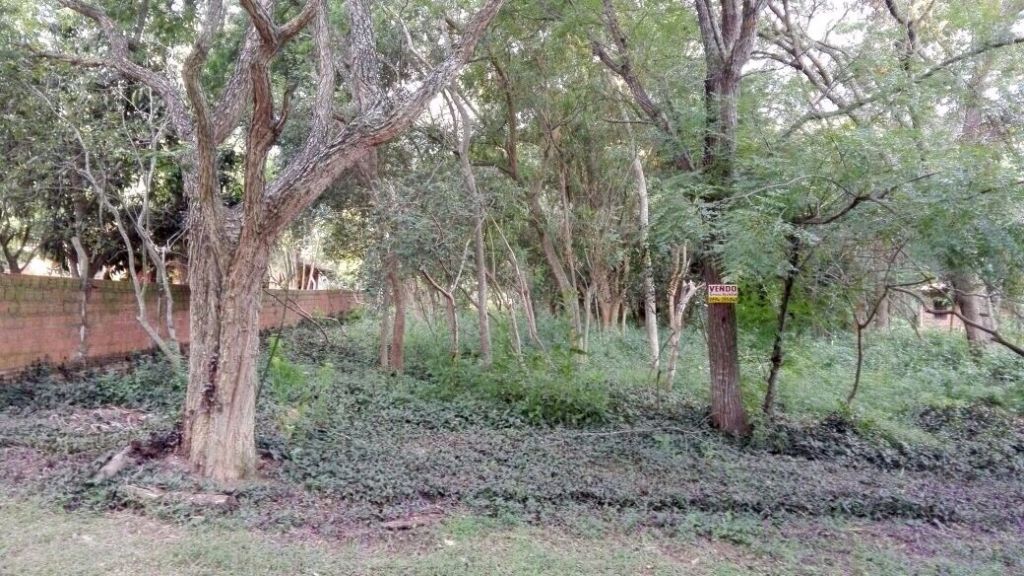 Vendo hermoso terreno en San Bernardino (zona céntrica) — foto 2