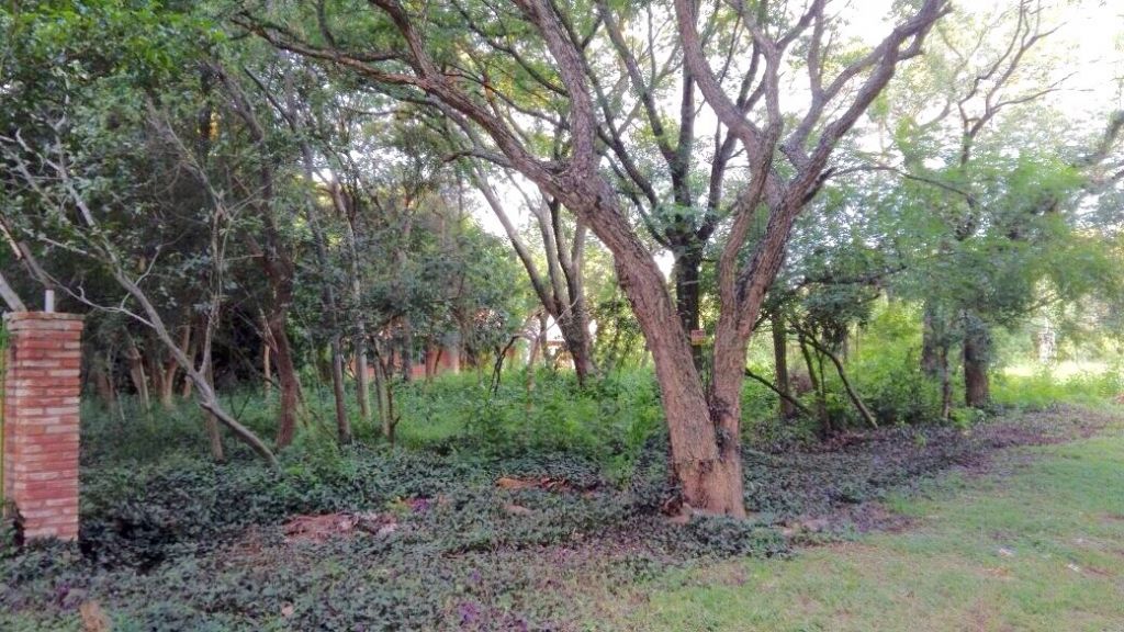 Vendo hermoso terreno en San Bernardino (zona céntrica) — foto 3