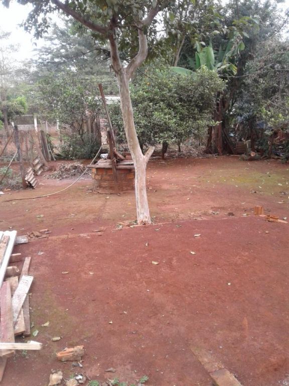terrenos y casa — foto 2