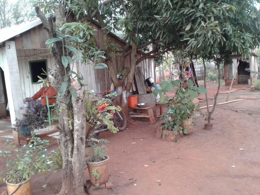 terrenos y casa — foto 3