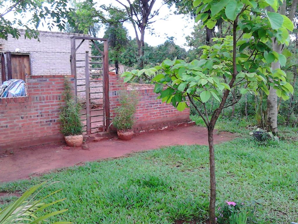 Vendo casa en luque — foto 2