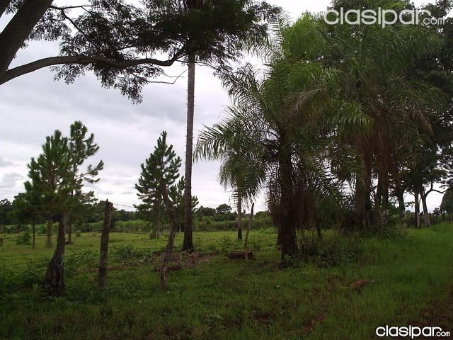vendo campo 6.141 mts2 ( 27,78 mts2. X 66,35 mts2.) en B° San Antonio. Distrito de Encarnación — foto 3