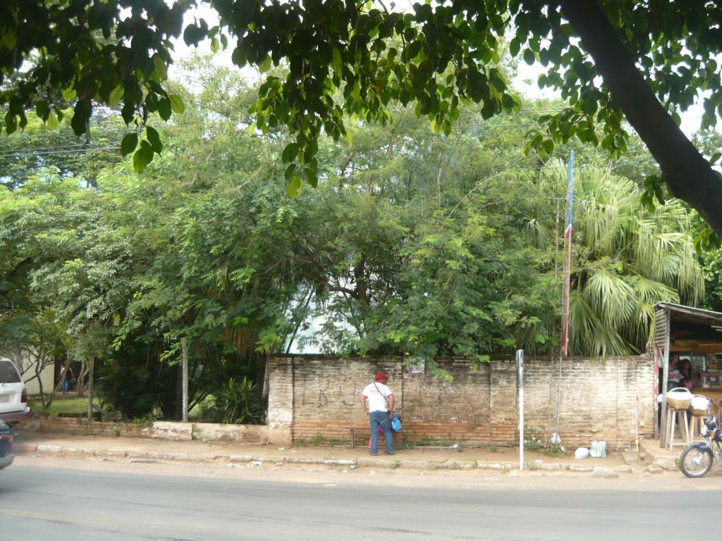 ALQUILO EXCELENTE TERRENO EN PARAGUARI — foto 2