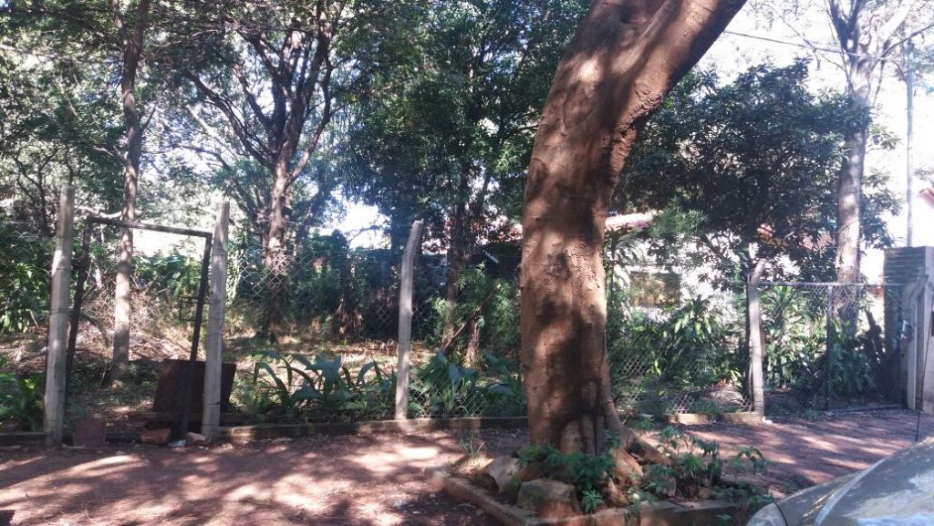 VENDA TERRENO EN FERNANDO DE LA MORA ZONA NORTE — foto 2