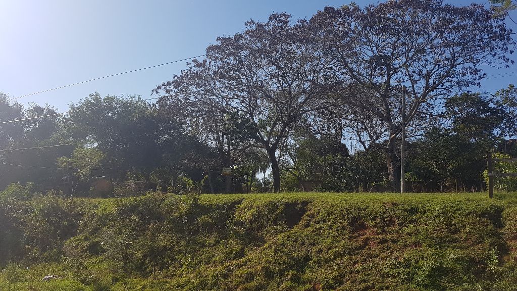 Vendo: Tres terrenos en Santani, sobre ruta. — foto 2