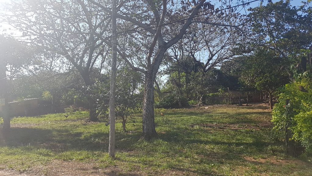 Vendo: Tres terrenos en Santani, sobre ruta. — foto 3