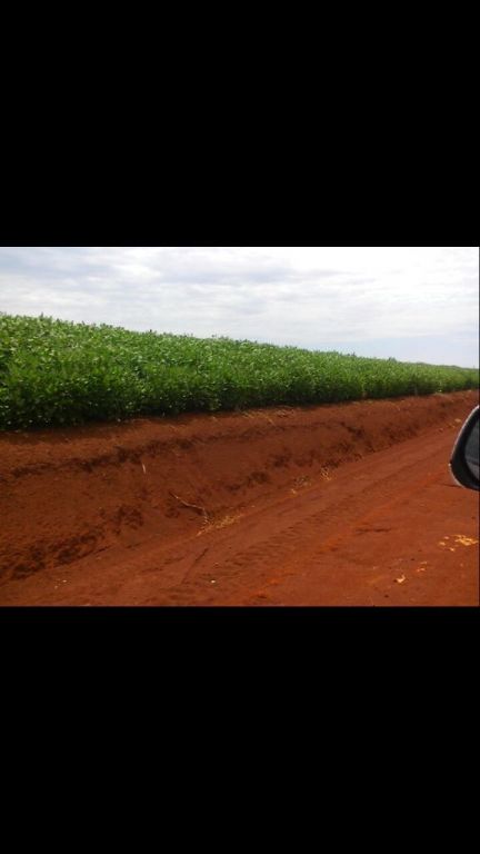 Vendo parcela mecanizada 921 has. — foto 2