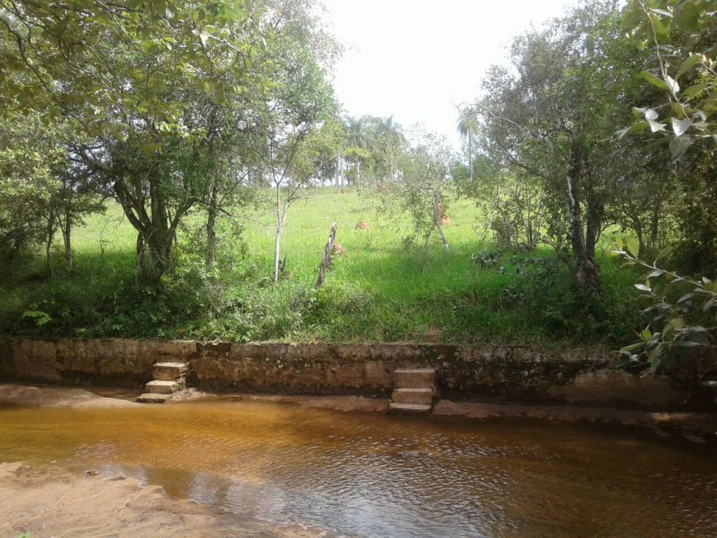 10 HECTÁREAS — foto 2