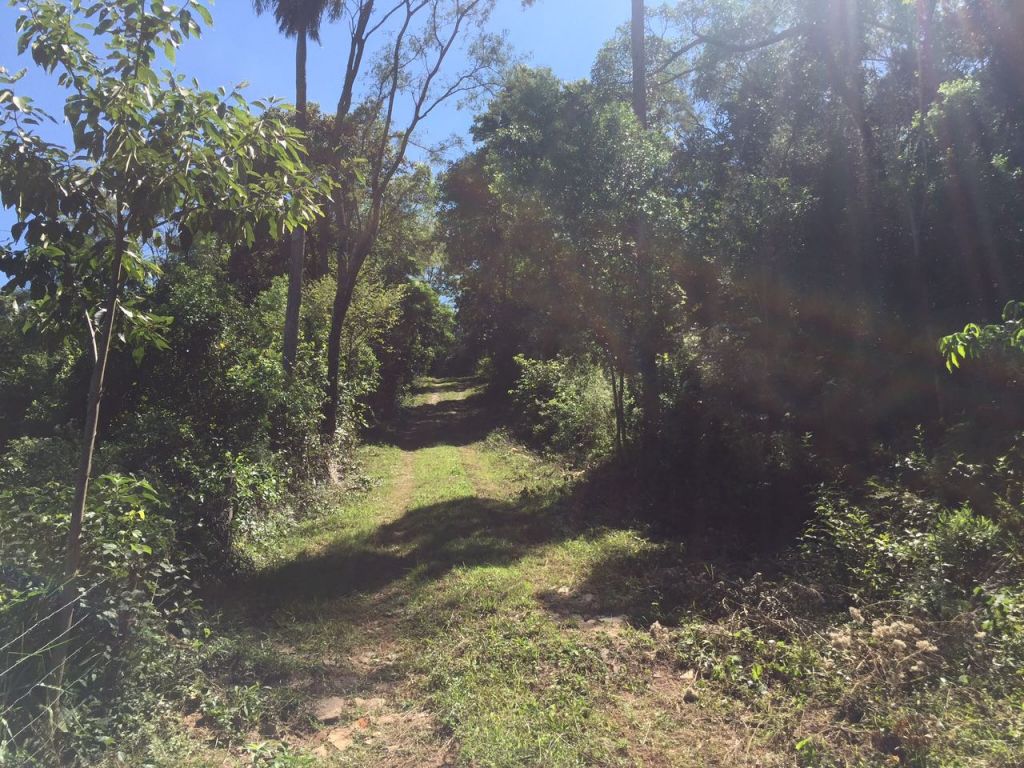 Vendo Hermosa Propiedad En San Bernardino De 6,74 Hectáreas — foto 2