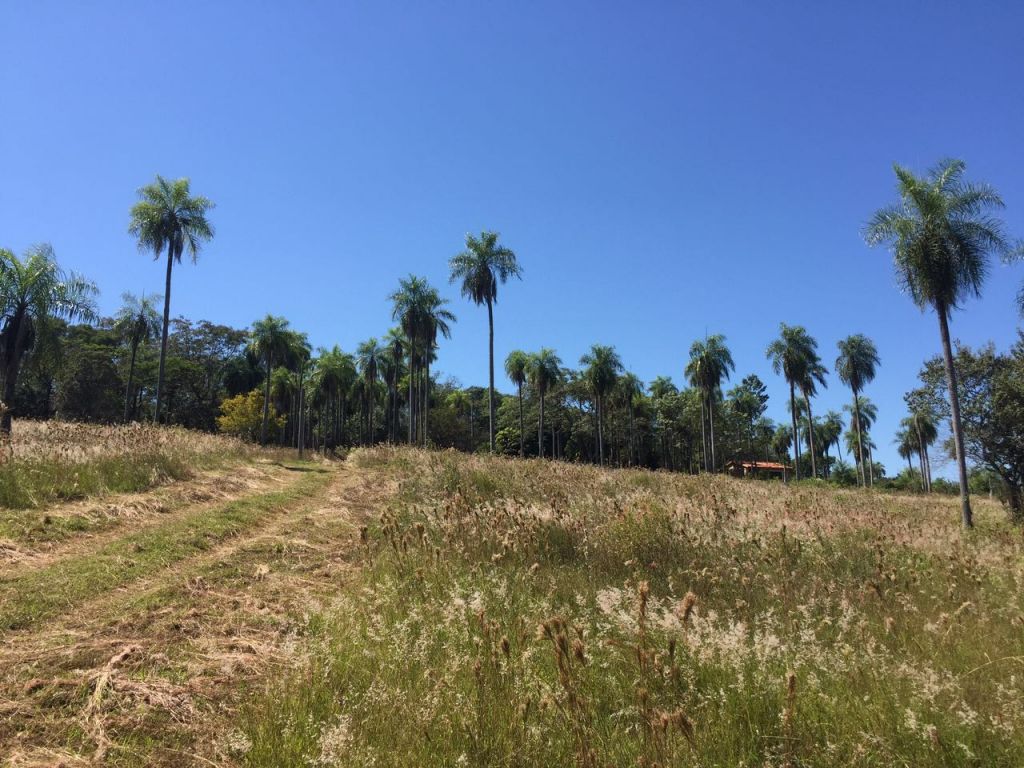 Vendo Hermosa Propiedad En San Bernardino De 6,74 Hectáreas — foto 3