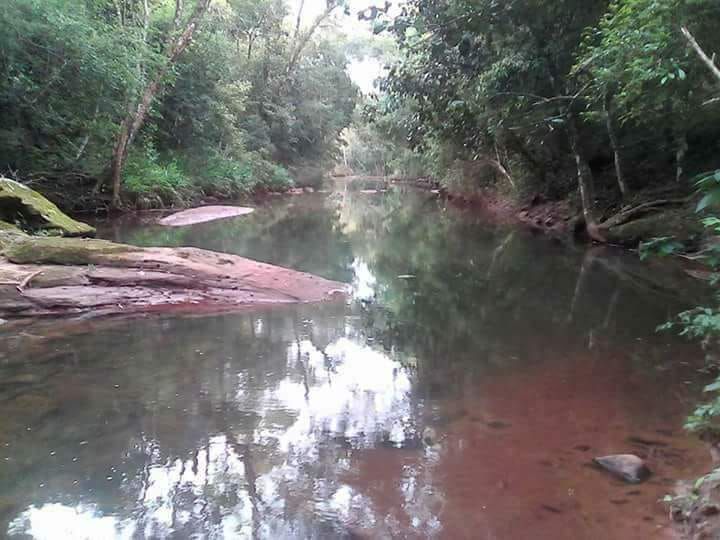 Propiedad en Colonia Independencia Guaira. — foto 2
