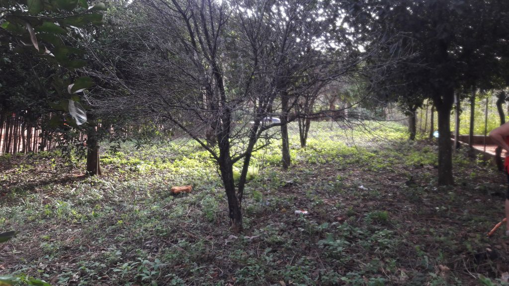 Terreno baldio Alturas de Guarambare ¡¡Titulado!! — foto 3