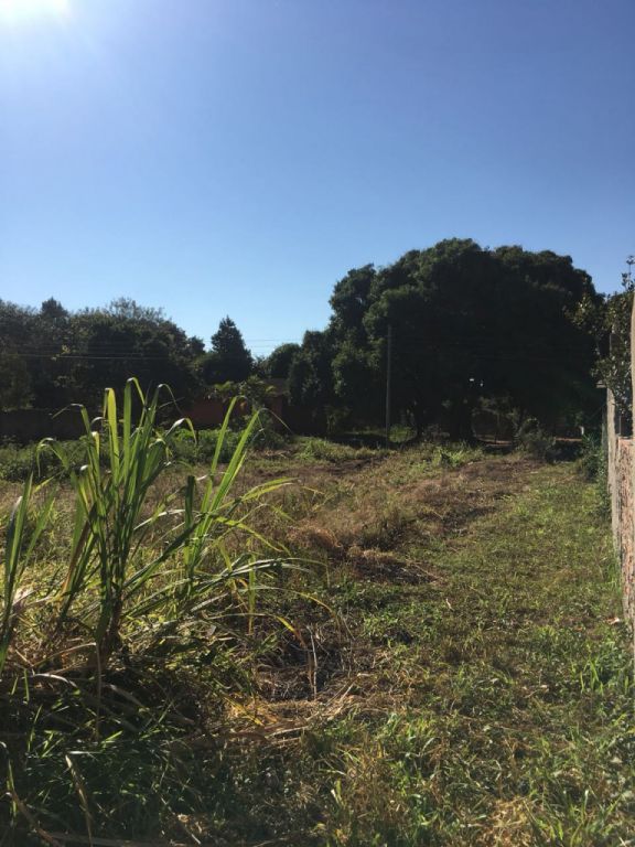 REMATO HERMOSO TERRENO EN CAPIATA — foto 2