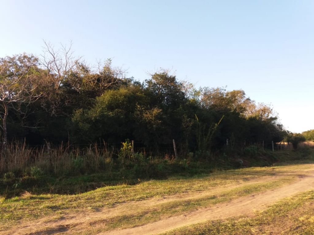 3,6 ha con una hermosa vista de las montañas (Cordillera Ybytyruzu) — foto 2