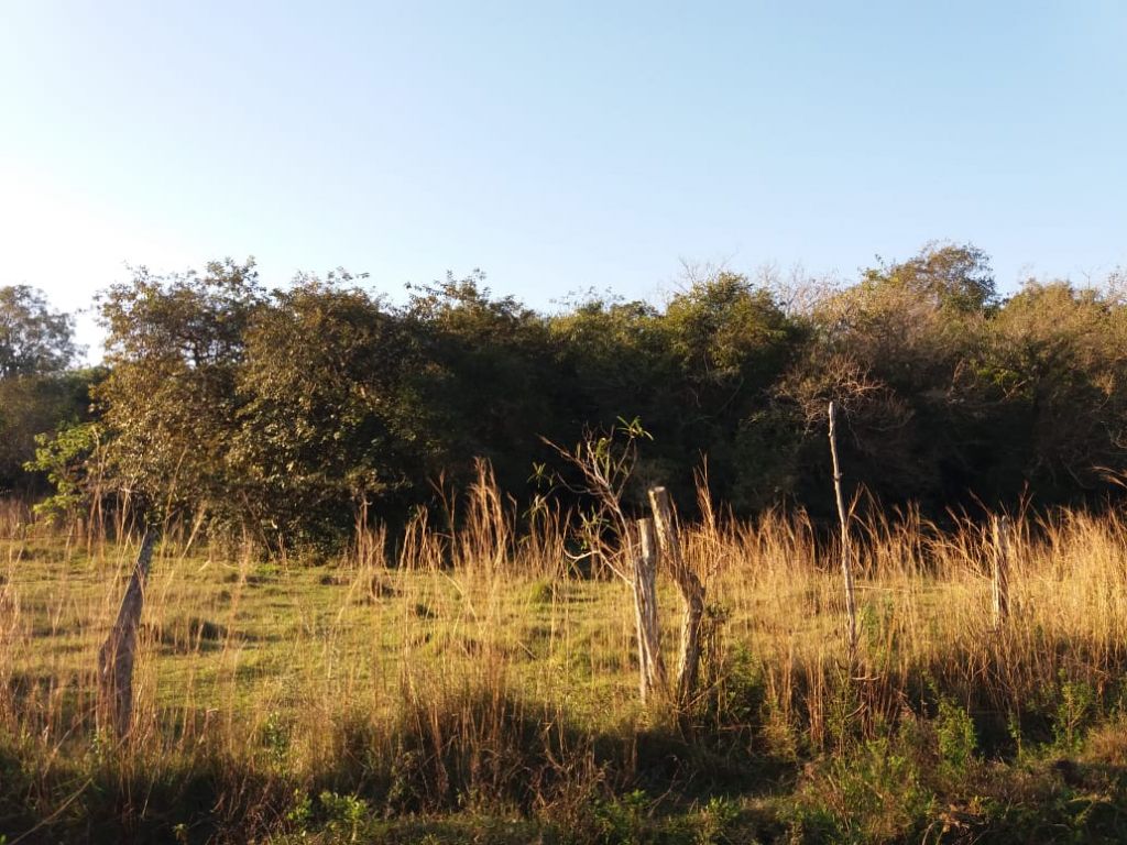 3,6 ha con una hermosa vista de las montañas (Cordillera Ybytyruzu) — foto 3