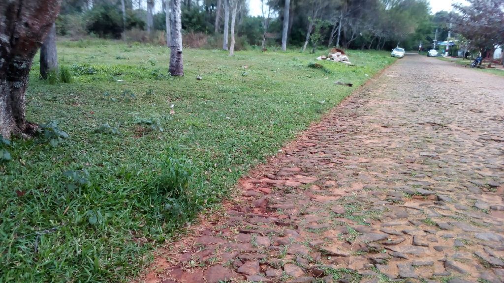 VENDO TERRENO EN AREGUA PINDOLO — foto 3