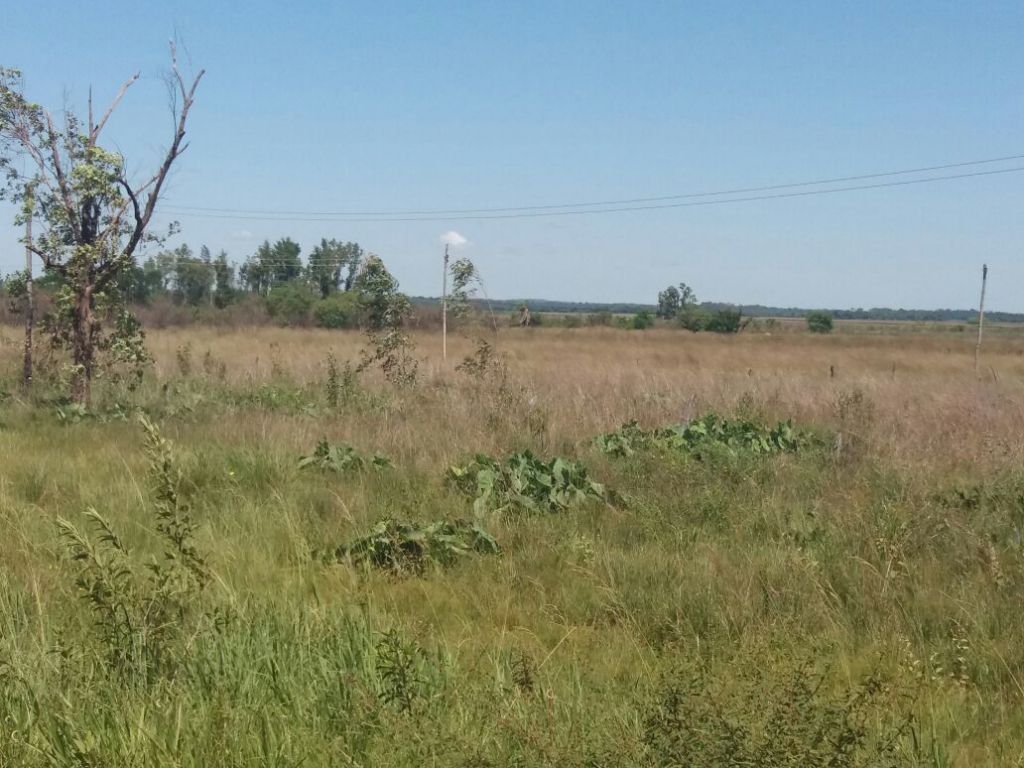 SE VENDE PROPIEDAD EN CIUDAD DE SAN JOSE DE LOS ARROYOS — foto 2