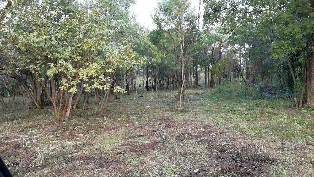 Luque Itapuami — foto 3