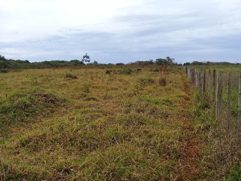 Vendo terreno en hernandarias — foto 2