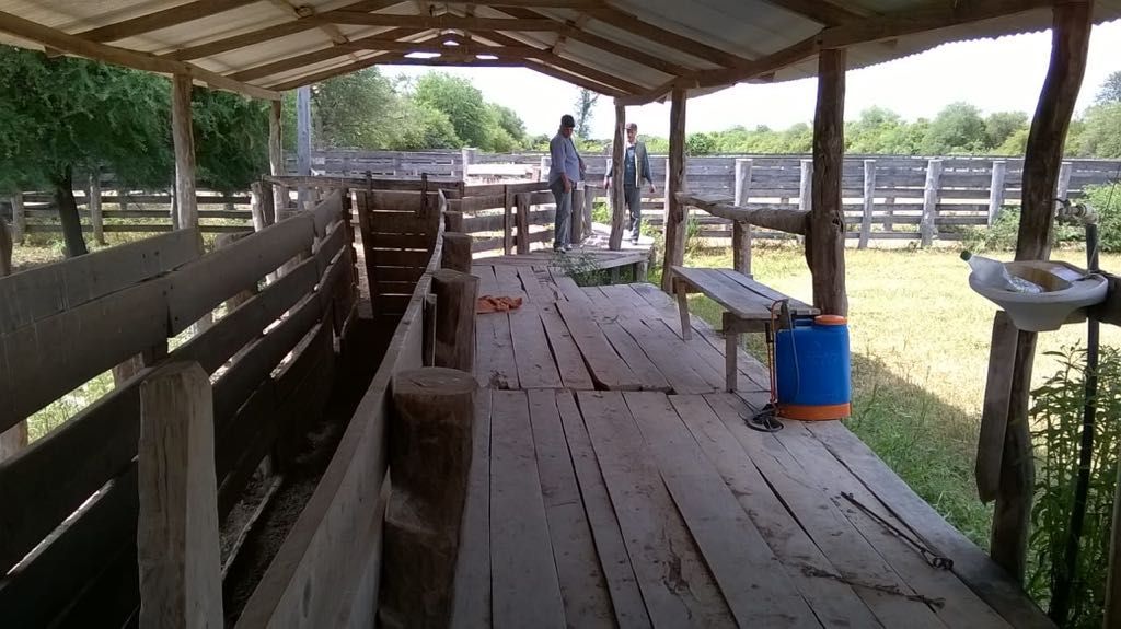Hermosa Estancia en Venta — foto 2