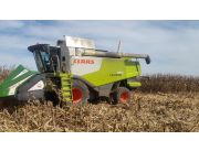 Cosechadora Claas Lexion 740 año 2011