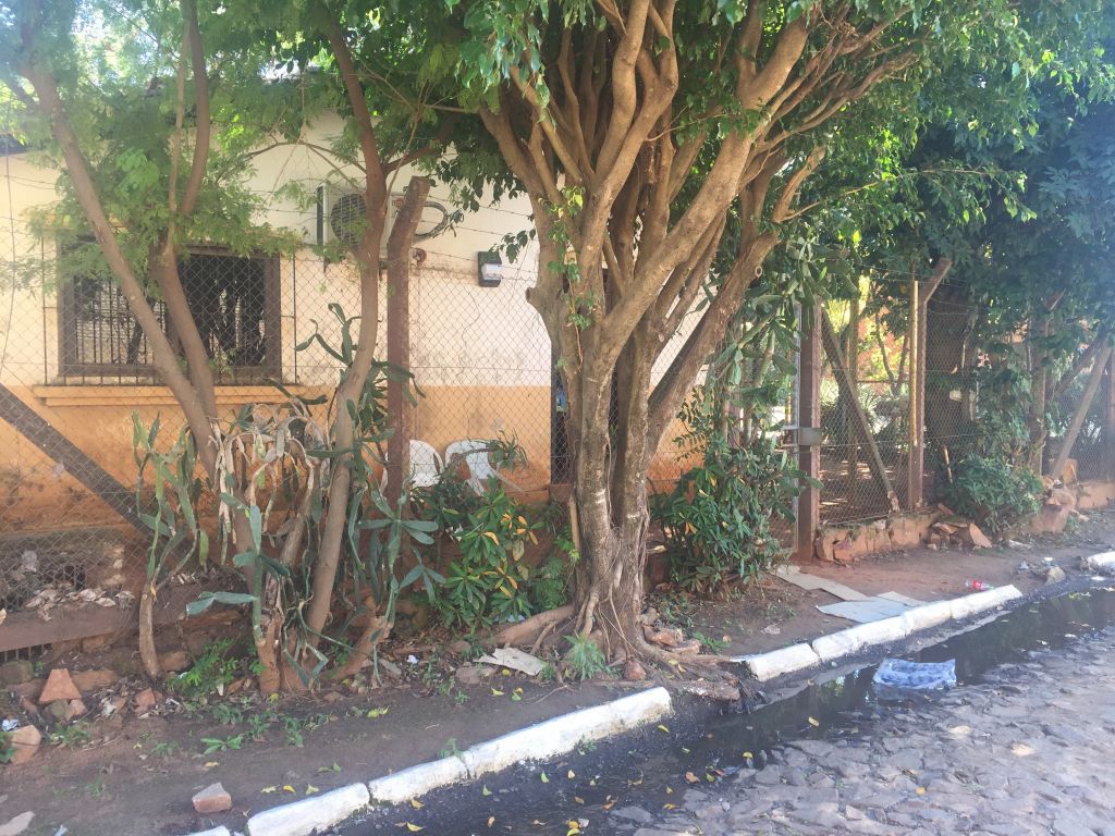 SE ALQUILA CASA A 2 CUADRAS DE MCAL LOPEZ — foto 2