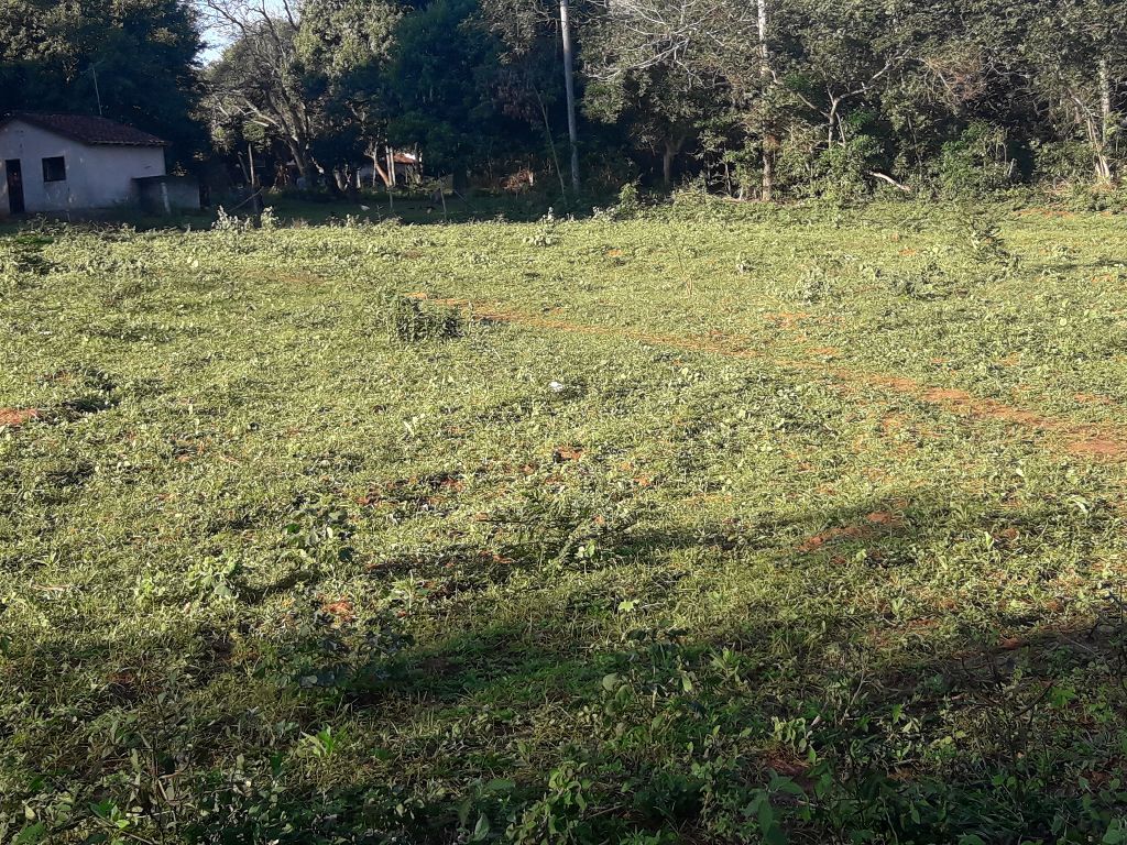 OFERTA 3 Terrenos juntos — foto 3