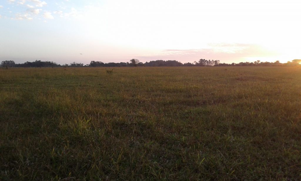 Vendo 16 has en km 22 Ciudad del Este — foto 3
