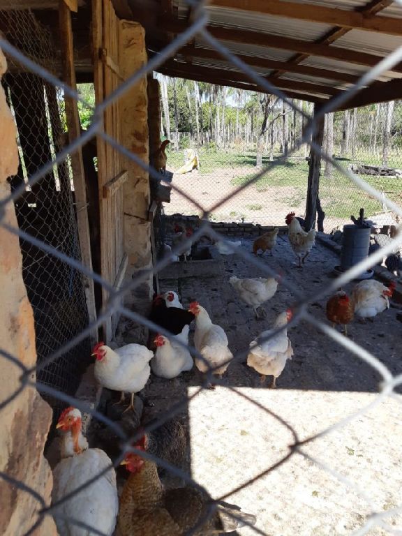 Vendo campo de 42 hectáreas en Ybycui — foto 2
