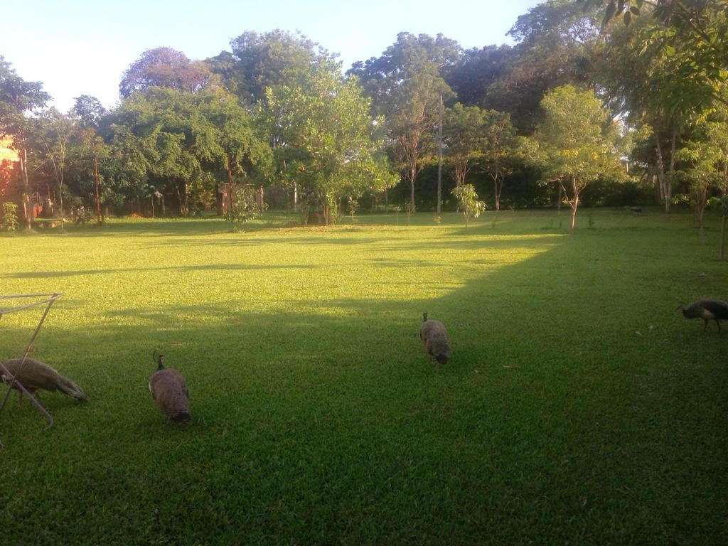 Venta terreno en Luque — foto 2