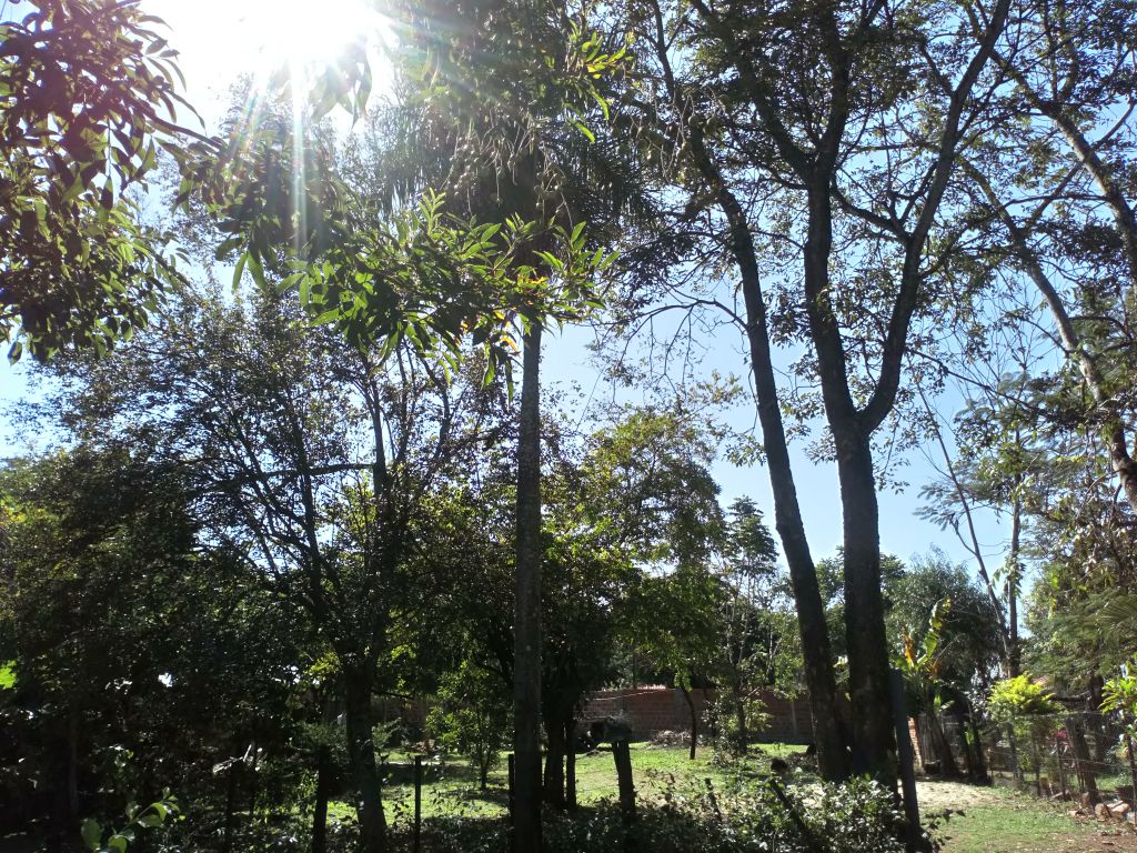 Vendo casa con 2 terrenos juntos en MRA — foto 2