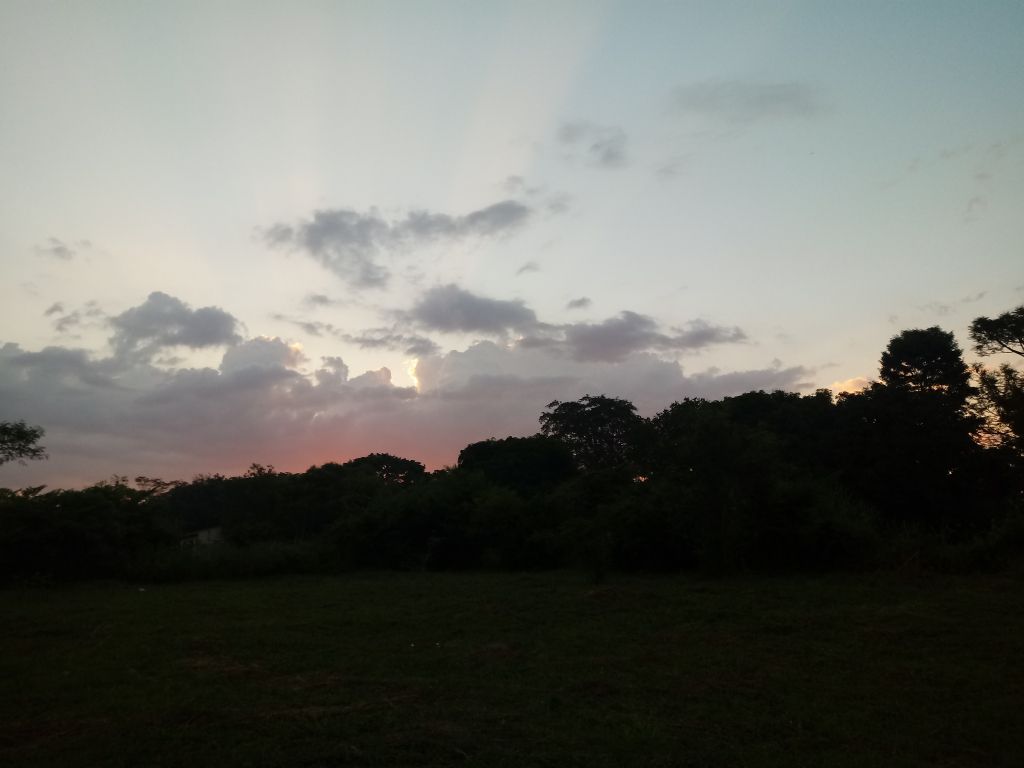VENDO TERRENO EN CAPIATA Ruta 2 Km 19,5 — foto 3