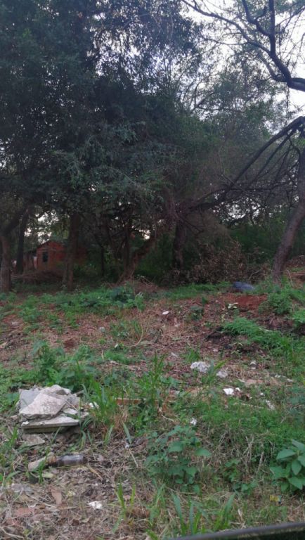 Vendo Terreno de 504 m2., Zona Jardin de Oro Luque — foto 2